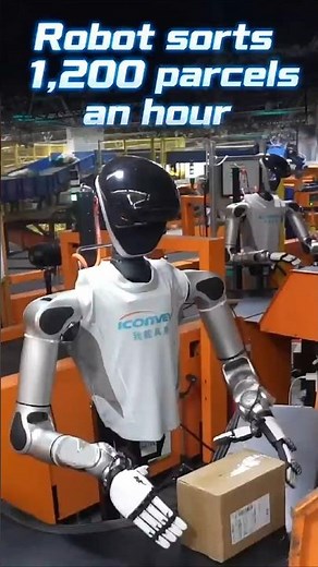Robot sorter handles 1,200 parcels per hour with AI precision