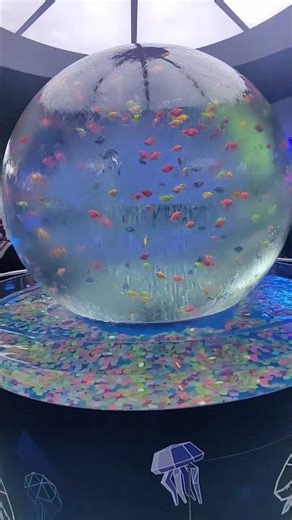 GloFish Tetras in a Stunning Round Aquarium 🌈✨ | Relaxing Fish Tank View