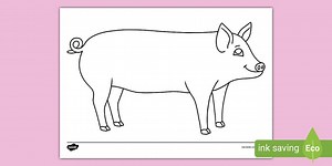 Pig Colouring Page