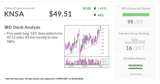 Stock Of The Day In Buy Zone, Leads Industry Despite Supersmall Market