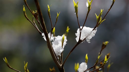 'False spring' to hit Illinois this weekend. Here's how warm it'll get