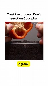 To trust the process is to believe that things are happening for a reason, even if you don't understand it at the time. It is to have faith that the universe is conspiring in your favor, even when things are tough. When you trust the process, you let go of the need to control everything. You accept that you are not the captain of your own ship, and that you are simply a passenger on this journey. You surrender to the unknown and allow yourself to be guided by something larger than yourself. To n