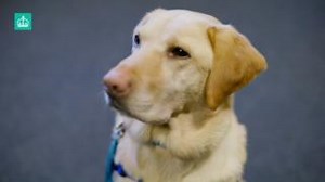 7K views · 32 reactions | Disabled people are at the heart of the...