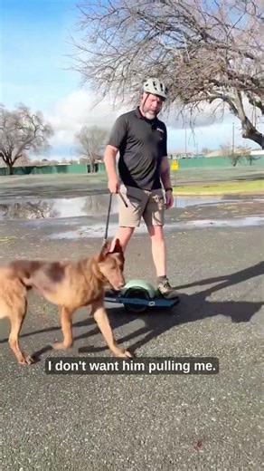 Can Your Dog Handle The OneWheel? This Dog Learns Fast! 🛹🐕 #onewheel #dogtraining