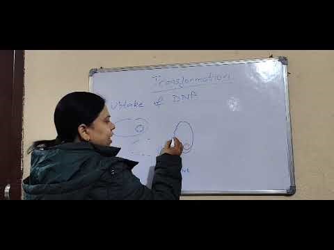 #GeneticRecombination #BacterialTransformation #GriffithExperiment #Bacteria #TransformationProcess