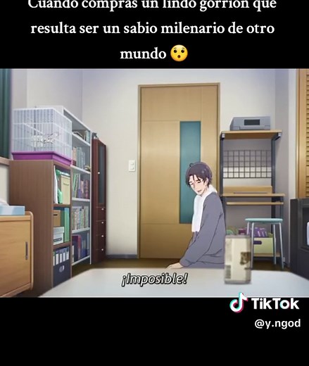 Sasaki to Pii-chan Capitulo 1: A Magical Encounter with a Wise Sparrow