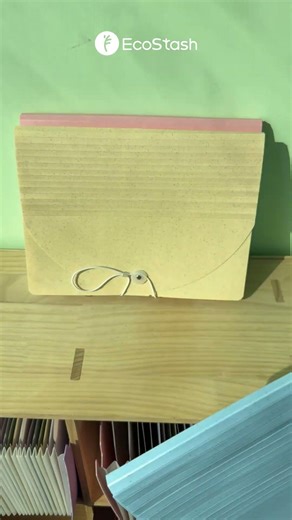 🌙✨ Tired of paper creases? Try this instead: a cute file organizers!