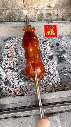 Authentic Filipino Lechon | Charcoal Roasting Whole Pig