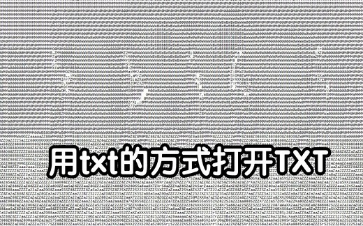 【TXT】用txt的方式打开TXT 名副其实文档团