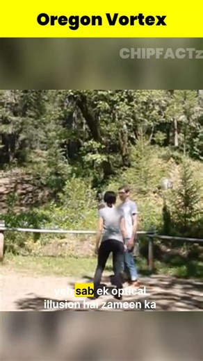 The Mystery of Oregon Vortex #shorts #ytshorts #chipfactz #oregonvortex #science #fact #mystery