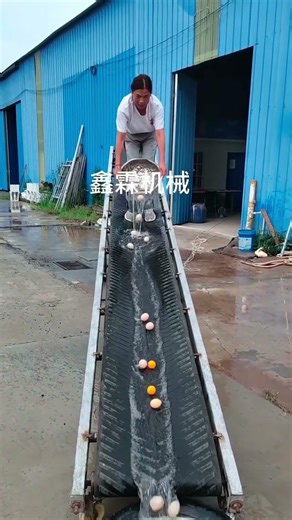 Automated Belt Conveyor System on Raised Platform. #shorts