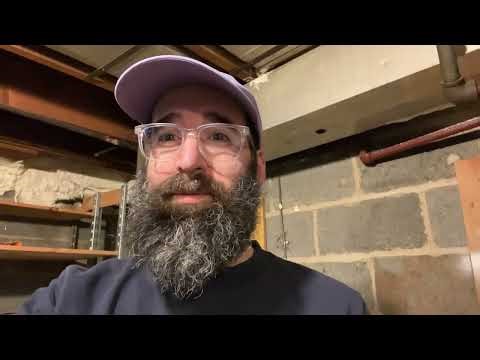 Catchmaster Insect Trap XL Review: 20 Traps for Basement Bug Control