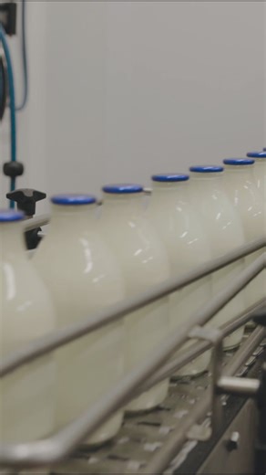 🥛✨ Dairy Fresh to Your Doorstep! ✨🥛 Wake up to the goodness of locally sourced, farm-fresh dairy products delivered right to your door! 🐄🚚 🐄 Premium Quality: Our milk comes from locally sourced, happy cows, ensuring you get the freshest and creamiest milk every time. 👨‍🌾 Shop Local: Supporting local farmers and the local community. 🌱 Eco-Friendly Packaging: We’re committed to sustainability with our re-fillable glass bottles. 👨‍👩‍👦‍👦 Family Business: McQueens Dairies are a third-gene