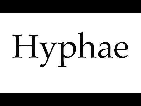 How to Pronounce Hyphae