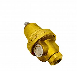 [Hot Item] Lar Ln2 Pressure Building Regulator with Flange Connection