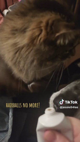 Willow was suffering from vomiting up hairballs constantly. Vet recommended Laxatone and no more hairballs. Plus, she loves it! #willowthecat #nomorehairballs #catcrack #catsoftiktok