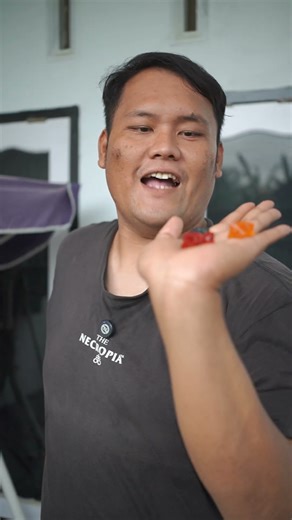 gambar dino jadi permen dinosaurus