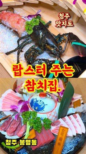 숨도 못쉬는 코스.. 충청도에서 진심 유일합니다. 활랍스터 주는 참치횟집.