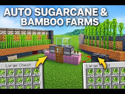 Minecraft EASY Auto Sugarcane Farm 😱 | Unlimited Paper & Sugar | 💀 Hardcore / Survival