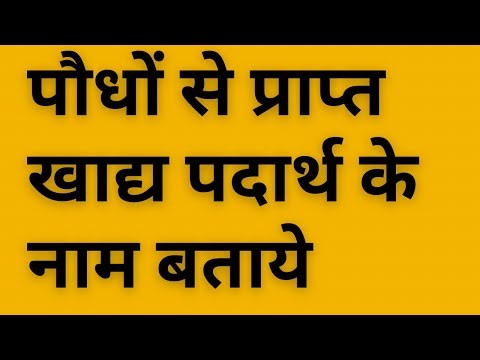पौधों से प्राप्त खाद्य पदार्थ के नाम बताये Class 6 Science Chapter 1