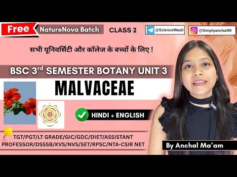 Malvaceae family bsc 3rd semester botany unit 3🔥💯|floral diagram and formulas|economic importance
