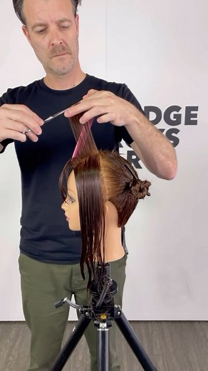 1.9K reactions · 319 shares | Shag & Layered Bob ⬇️ Here’s a few...