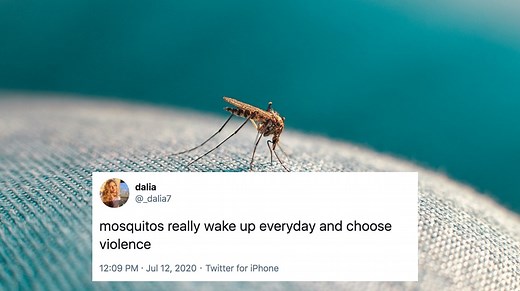 Wake Up And Choose Violence | Know Your Meme