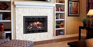 Mendota D-Series Gas Fireplace Insert