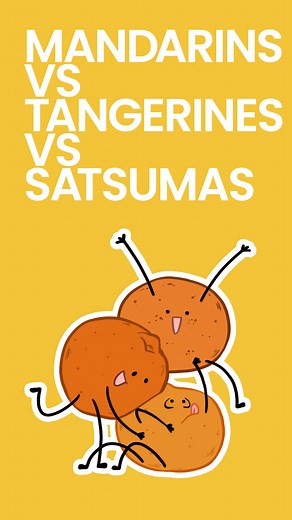 Mandarins, tangerines, and satsumas, oh my! So, how and why do we call these fruits different names? Find out! Watch my video on the HISTORY OF MANDARINS to learn more. 📚 PRINTABLE 📚 https://jerryjamesstone.com/how-to/history-of-mandarin-oranges-what-am-i-even-eating/ #foodhistory #foodfacts #historyfacts #mandarins #historyof | Jerry James Stone