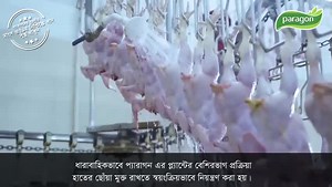 34K views · 399 reactions | বাংলাদেশে প্রথম অটোমেটেড মেশিনে হালাল...