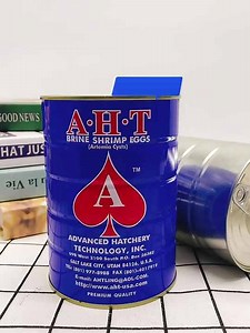 Brine Shrimp Eggs Artemia Cysts Ornamental Fish Food