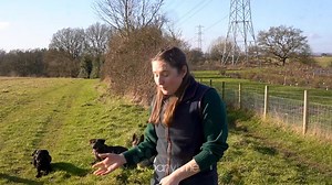 1.4K views · 12 reactions | TED & DOTTIE  Despite perfect behaviour...