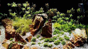 How to Build a Fish Tank Sump