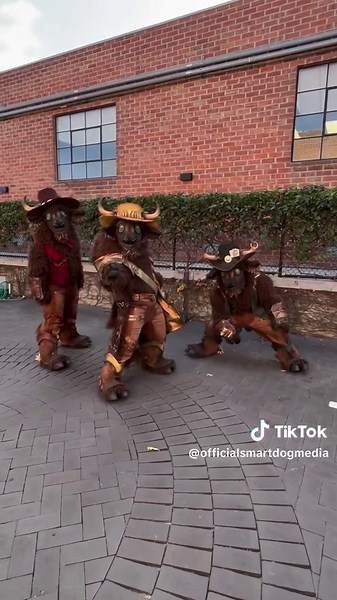 Buffalo Masks: Season 12 Winners of The Masked Singer