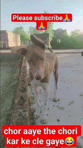 chor aaye the chori kar ke cle gaye😂#shots #funny # #comedy #viral pl plese subscribe🙏🙏