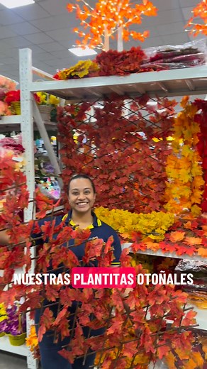 1.1K views · 1.1K reactions | TODO para REVENDER y EMPRENDER ✅MAYOREO de TRES en adelante. Estamos ubicados en la 1era calle, a 500 Metros de Megamall, contiguo a Taco Pollo, SPS.  ⏰ Horario: Lunes a sábado:8:00am-5:00pm ⬇️⬇️Link de google maps: Importadora Milenium https://goo.gl/maps/F9eoYErd6MHX2bd2A | Importadora Milenium | Facebook