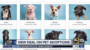 Arizona Humane Society is offering 50% off adoptions of all animals (except puppies 6 months old or younger) from 11 a.m. to 6 p.m. TODAY and TOMORROW. Fees include microchip, first vaccines, spay/neuter and follow-up exam. SEE PHOTOS OF ADOPTABLE PETS: http://bit.ly/2y3rI4t | ABC15 Arizona