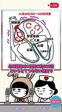 ＃AF＃心房細動＃房室結節の減衰伝導