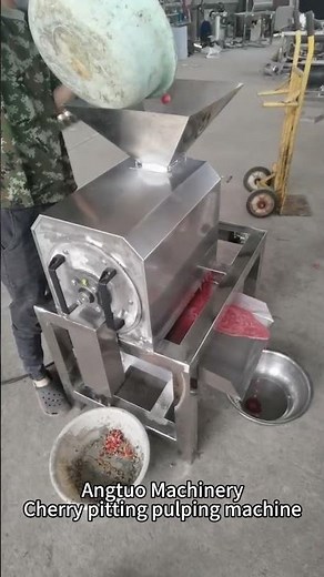 Cherry Pitting & Pulping Machine – Efficient Fruit Processing Solution
