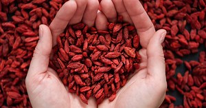 Bacche di Goji: proprietà, benefic e controindicazioni - Donnamoderna