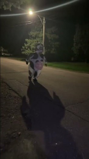 Highly recommend amazon inflatable costumes