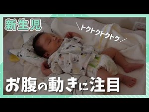 寝ている赤ちゃんの腹式呼吸【ギリギリ新生児】 baby abdominal breathing while sleeping
