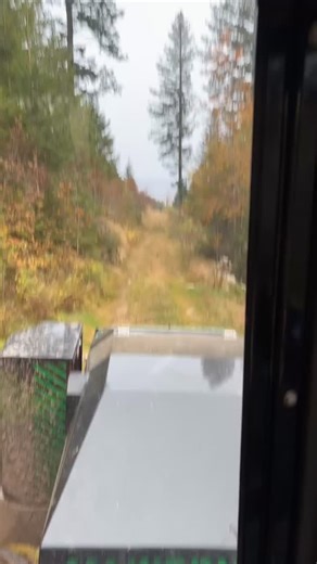 🌳🌳🌲🌲 Wf-trac am Vollbäume vorliefern für den Vollernter @timbco_gmbh 🌲🌲🌳🌳 -Keine bezahlte Werbung- #forsttechnik #forest #forst #forestry #wald #holz #holze #geilsterberufderwelt #holziholziholz #logger #logging #skidder #skog #skogsbruk #holzfäller #forstmaschinen #holzrücken #holzrücker #forstwirtschaft #forstwirt #werner #wftrac #wftrac2865 #klemmbankschlepper #timberjack #foret #forêt | Forstunternehmen Metzger/Kammerer Gbr