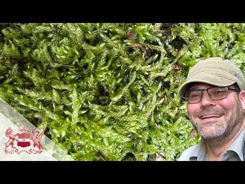 Exploring the Hidden Life in Moss
