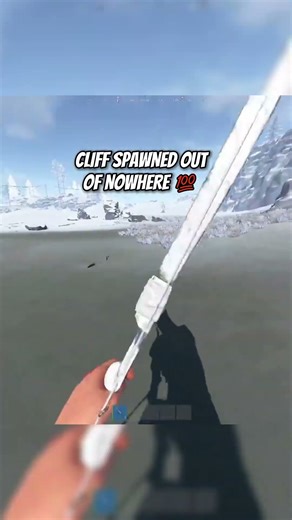 bro caught a stray 💯#rust