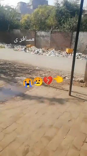 Abdul Bari A R (@abdul.bari.a.r)’s videos with original sound - Abdul Bari A R