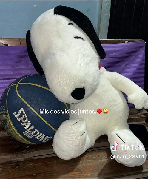 Sisi.❤️ #snoopy,#basketball 🤩