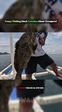 Crazy Fishing Hack Catches Giant Groupers! 🎣🐟💰