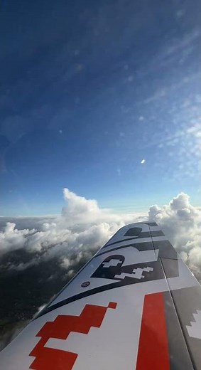 Tarragon Aircraft Flight | Cloud Dancing | Copilot's View #skymonkeyyys