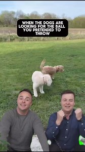 Playing with your dog be like… | No More Kennels Luxury Dog Hotel, Doggy Daycare Resort & Spa